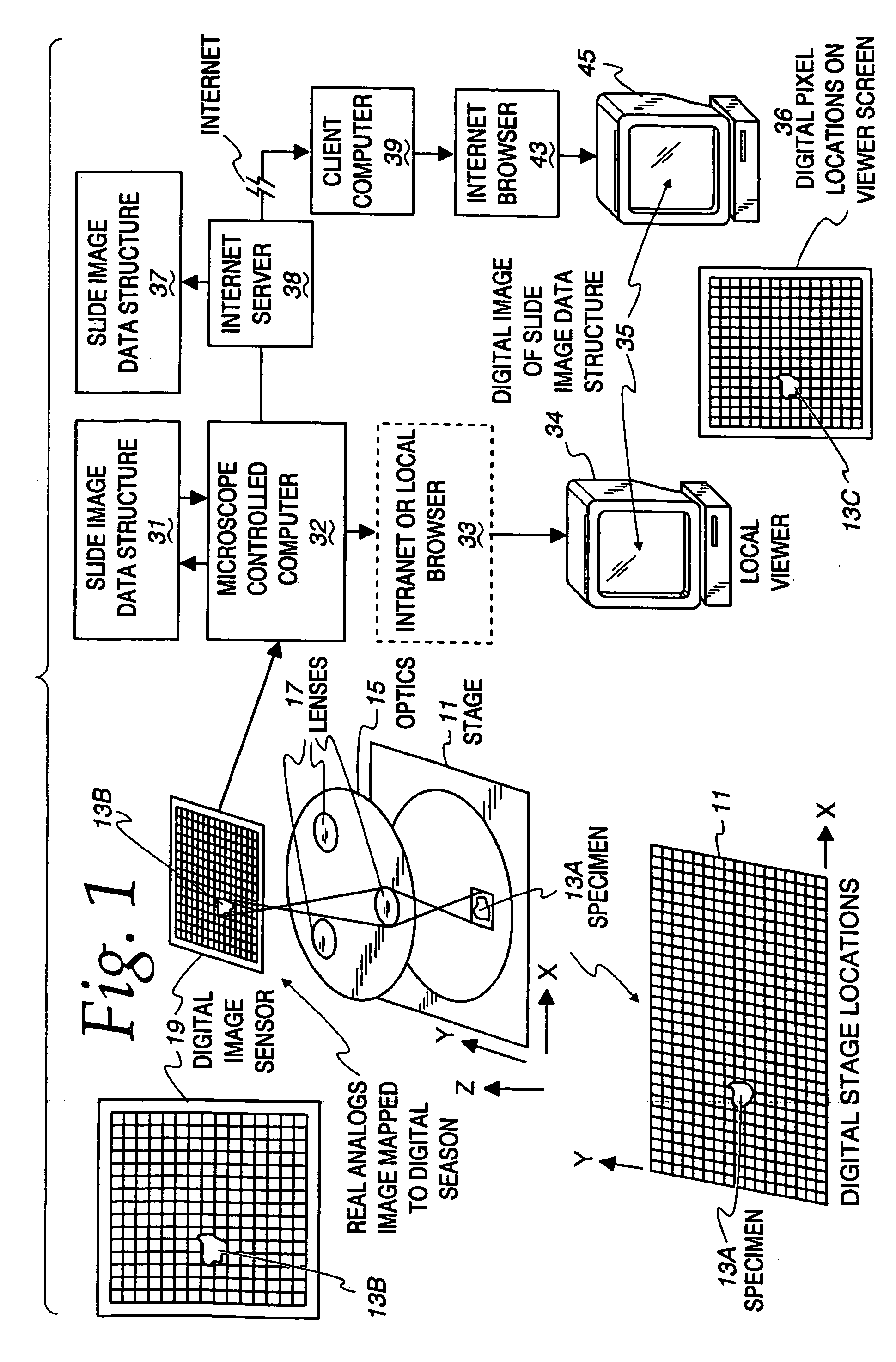 Method and apparatus for creating a virtual microscope slide