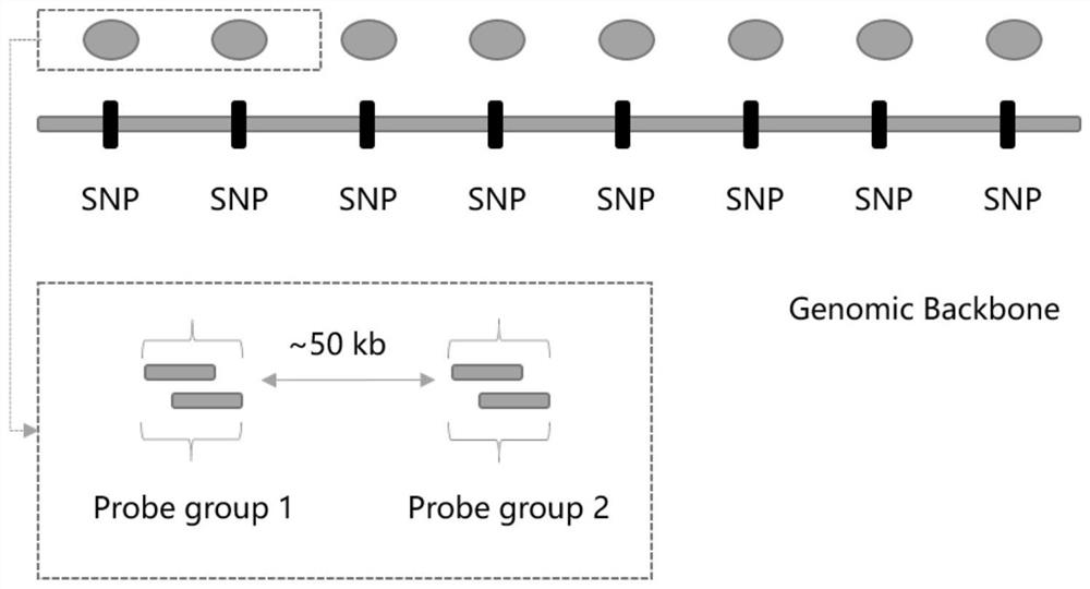 A detection method and quality control system for homologous recombination defects based on ngs platform
