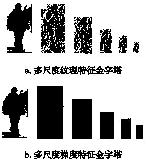 Multi-scale structure relevance based pedestrian target identification method