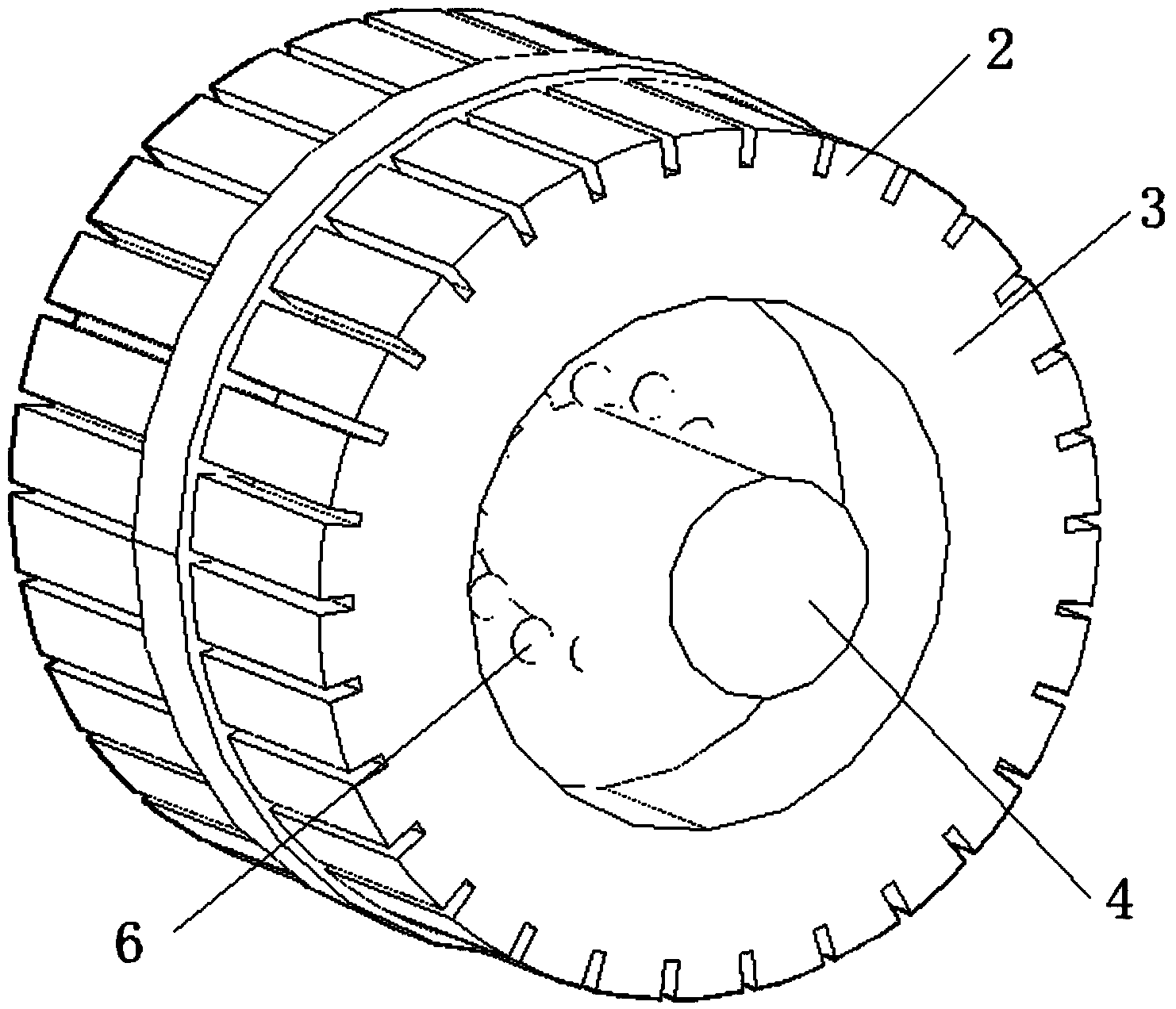 A birotor wheel hub electric automobile motor
