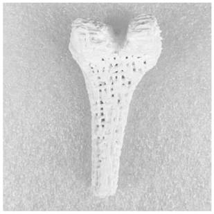 A 3D printing bionic porous bioceramic artificial bone and its preparation method