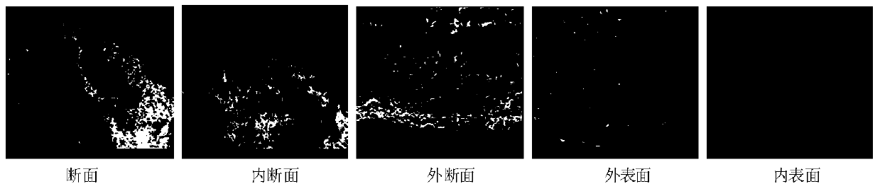 Hollow Fiber Ultrafiltration Membrane