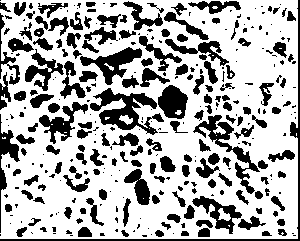 A process for removing gas-liquid inclusions in high-purity quartz sand