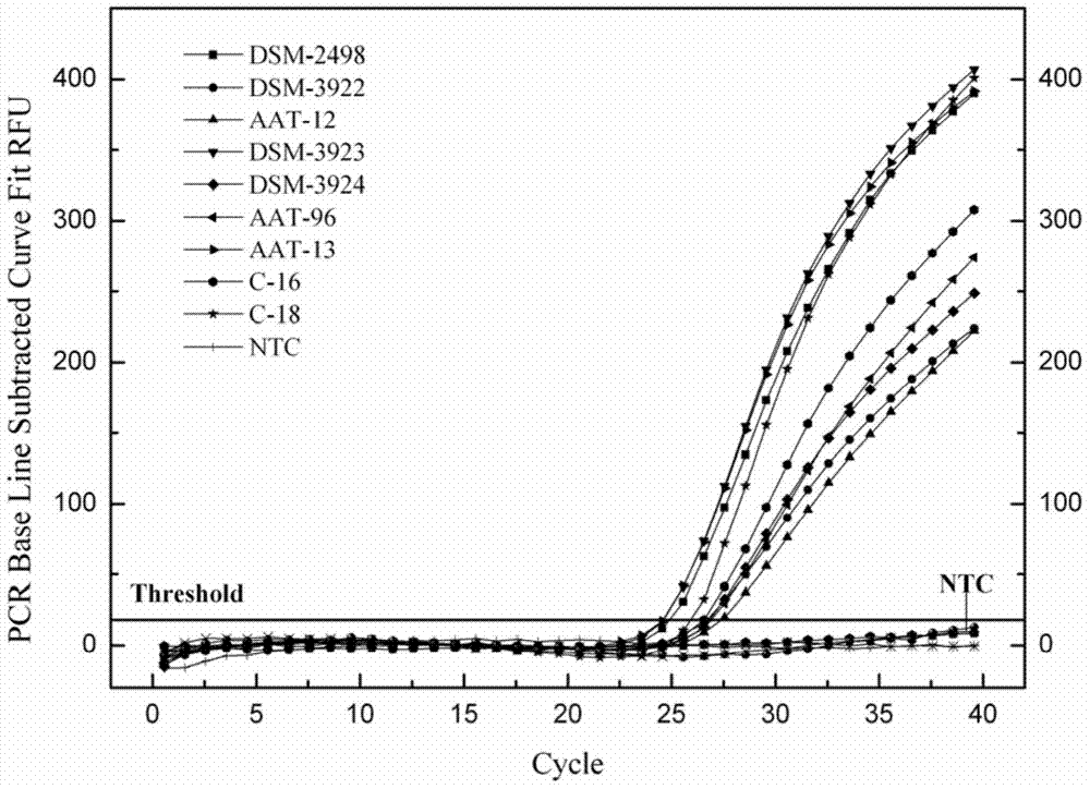 Primer and probe for alicyclobacillus acidoterrestris PCR detection and applications thereof