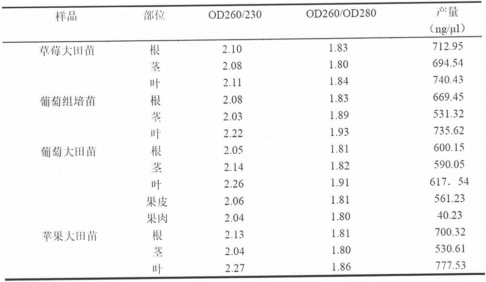 Efficient and stable fruit tree RNA extraction method