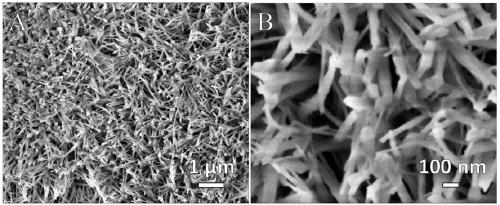 A method for preparing Si fixed-point substitution amorphous nanowire array
