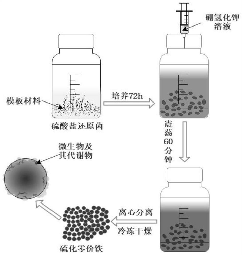 A kind of biological type zero-valent iron sulfide material and its preparation method and application