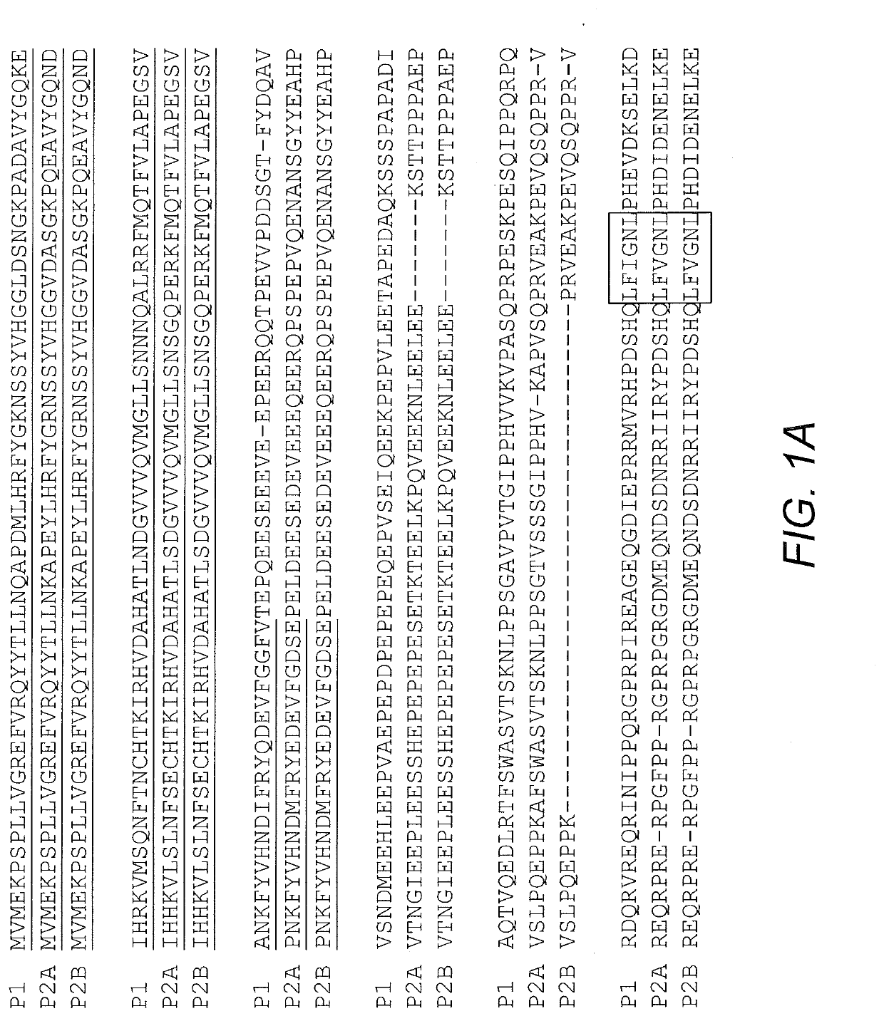 Fusion protein and nucleic acid molecule for exogenous stimulant-dependent stress granule assembly