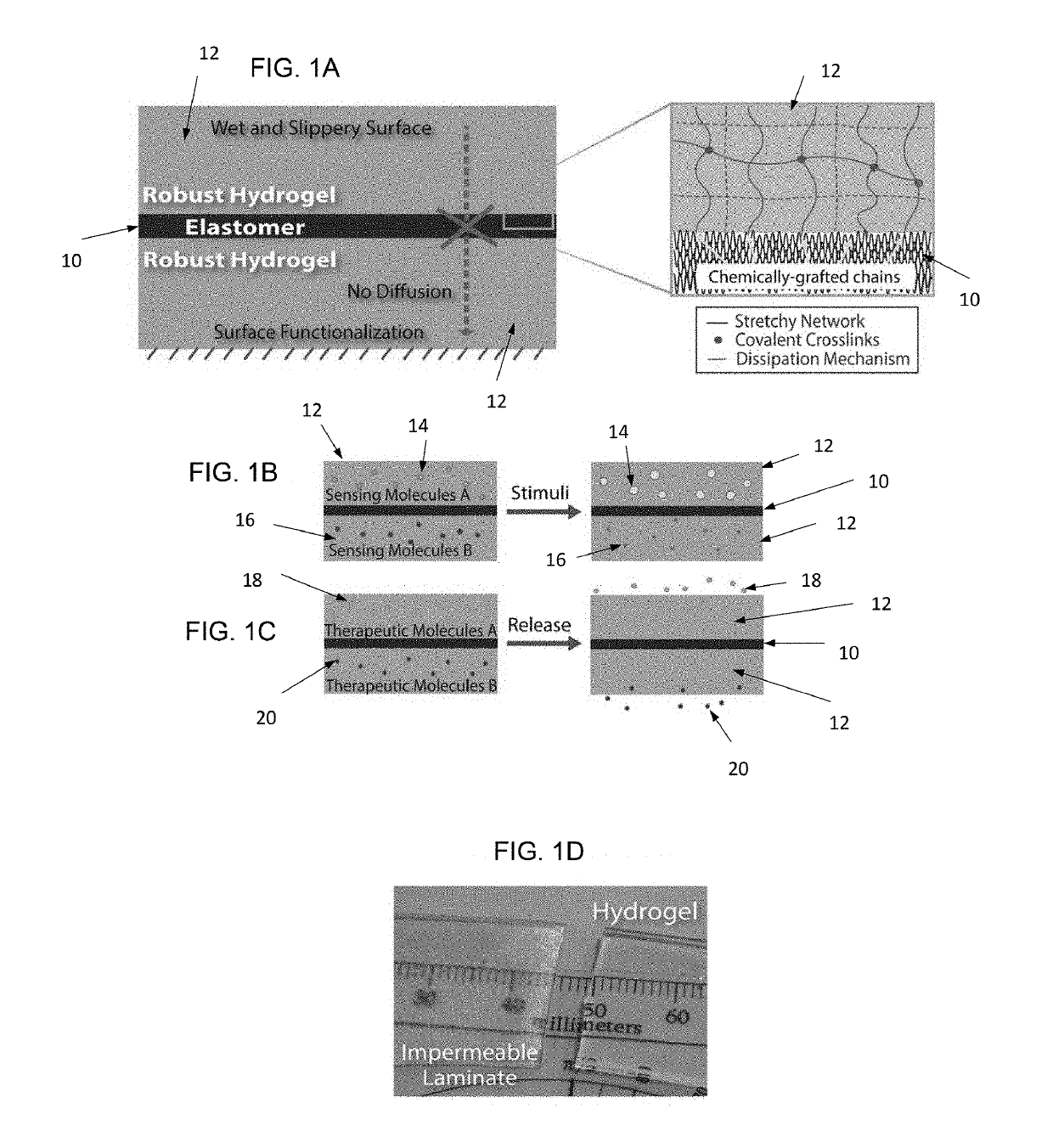 Tough hydrogel coating and method of manufacture