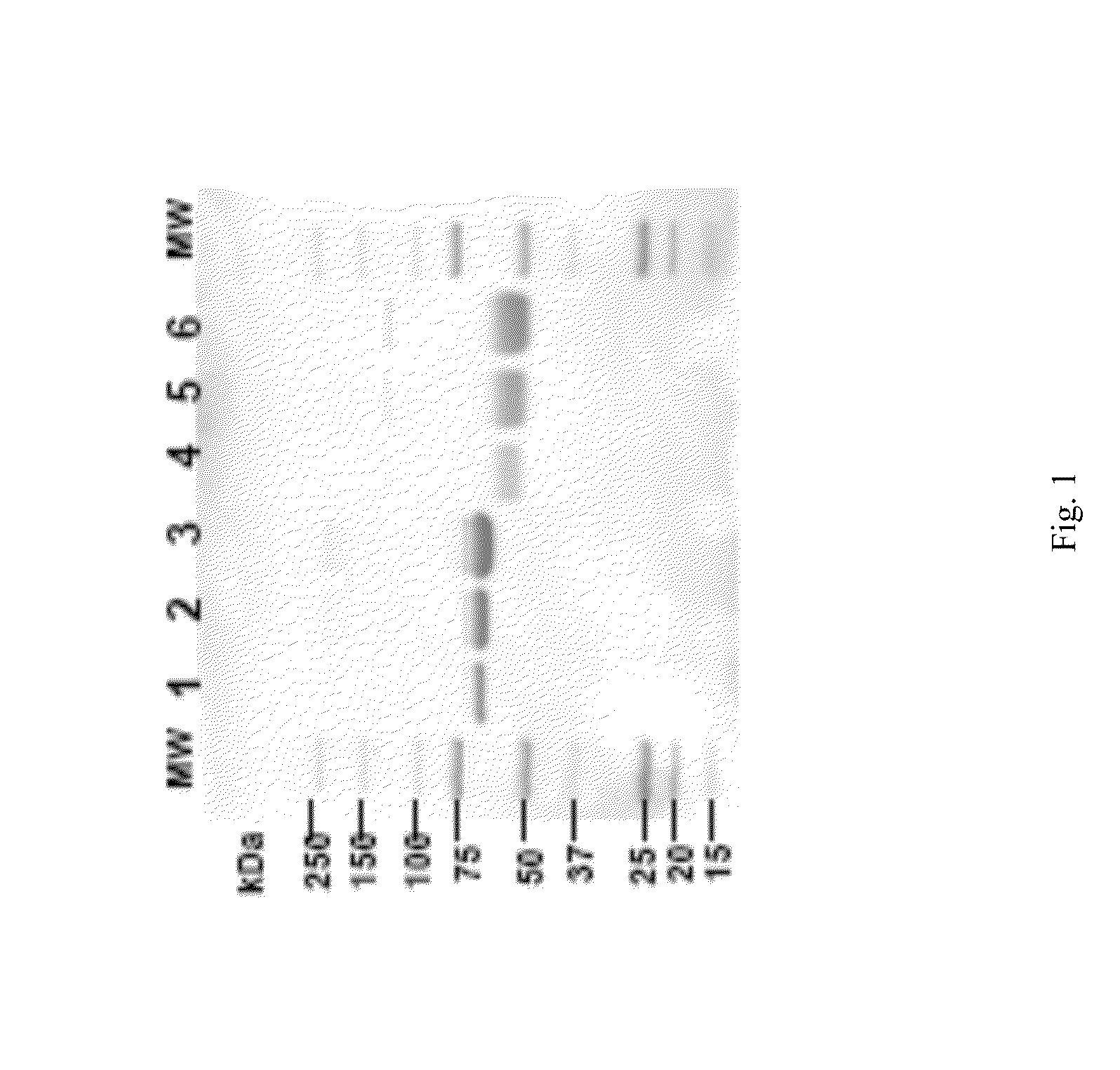 Methods for treating lysosomal acid lipase deficiency