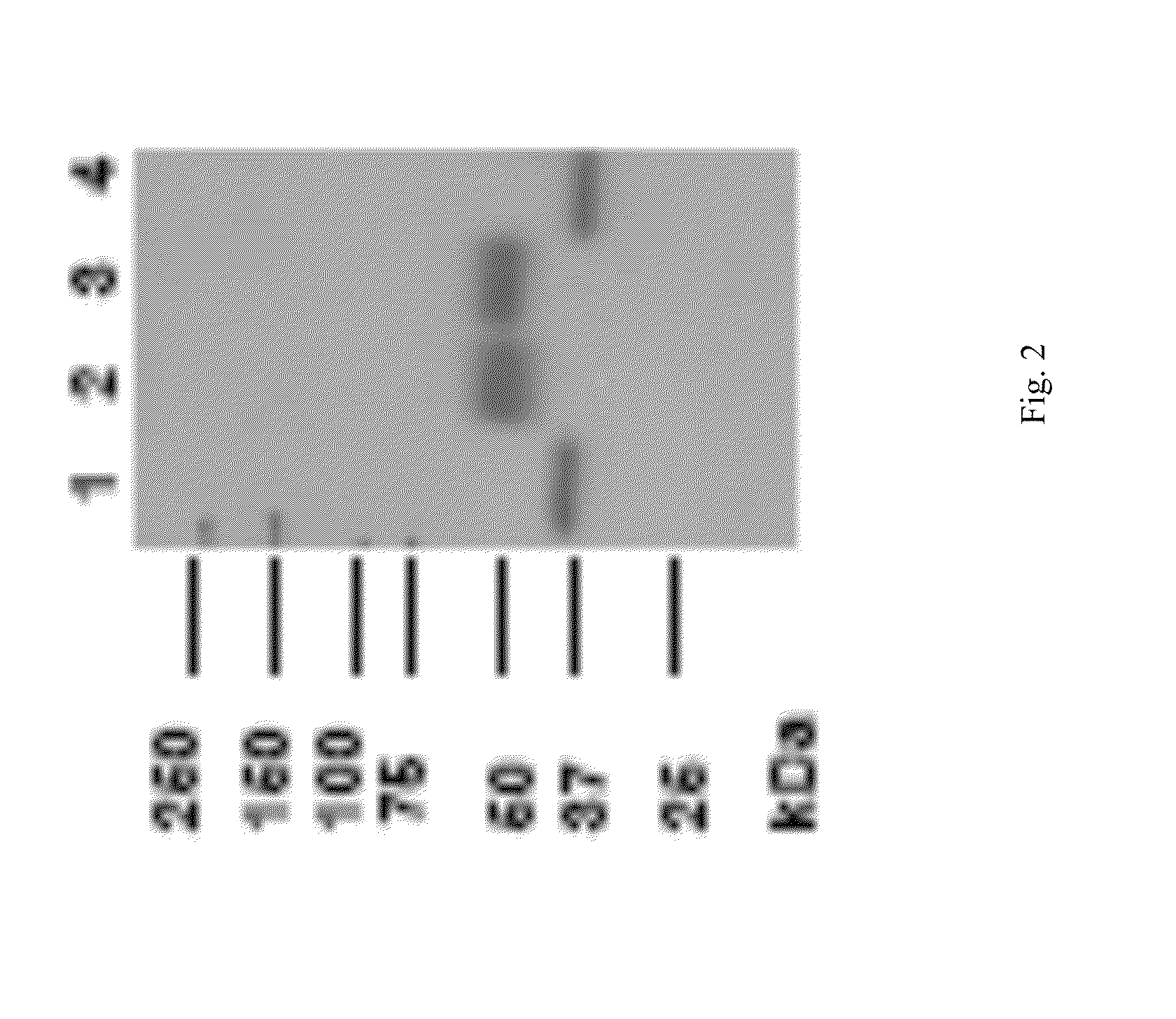 Methods for treating lysosomal acid lipase deficiency