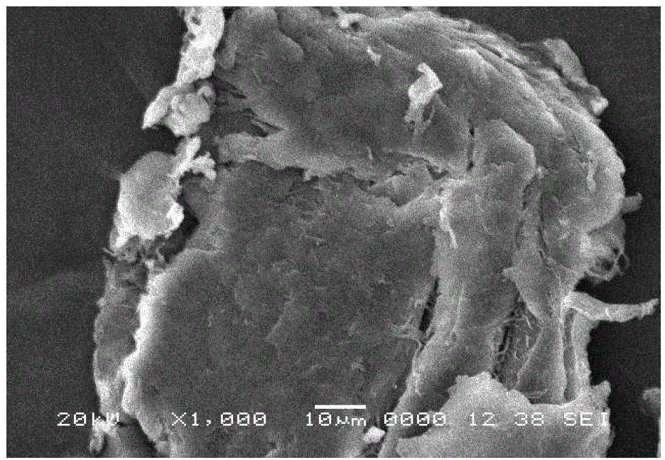 Preparation method of novel lead removal agent