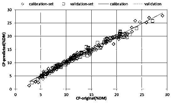 Method for measuring crude protein content in Phalaris arundinacea by using near infrared spectrum