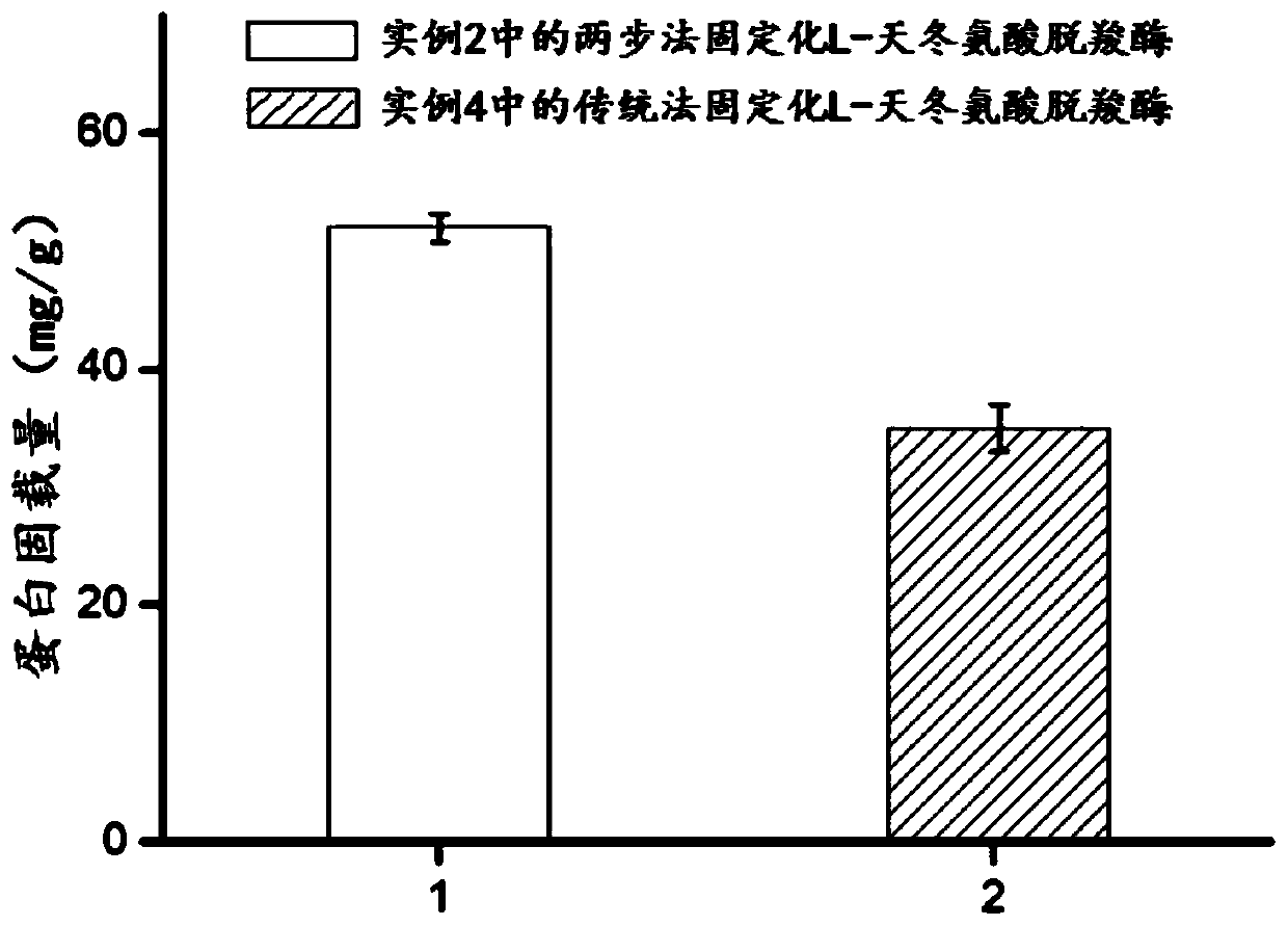 Enzyme catalyst and preparation method and application thereof in production of 3-aminopropionic acid