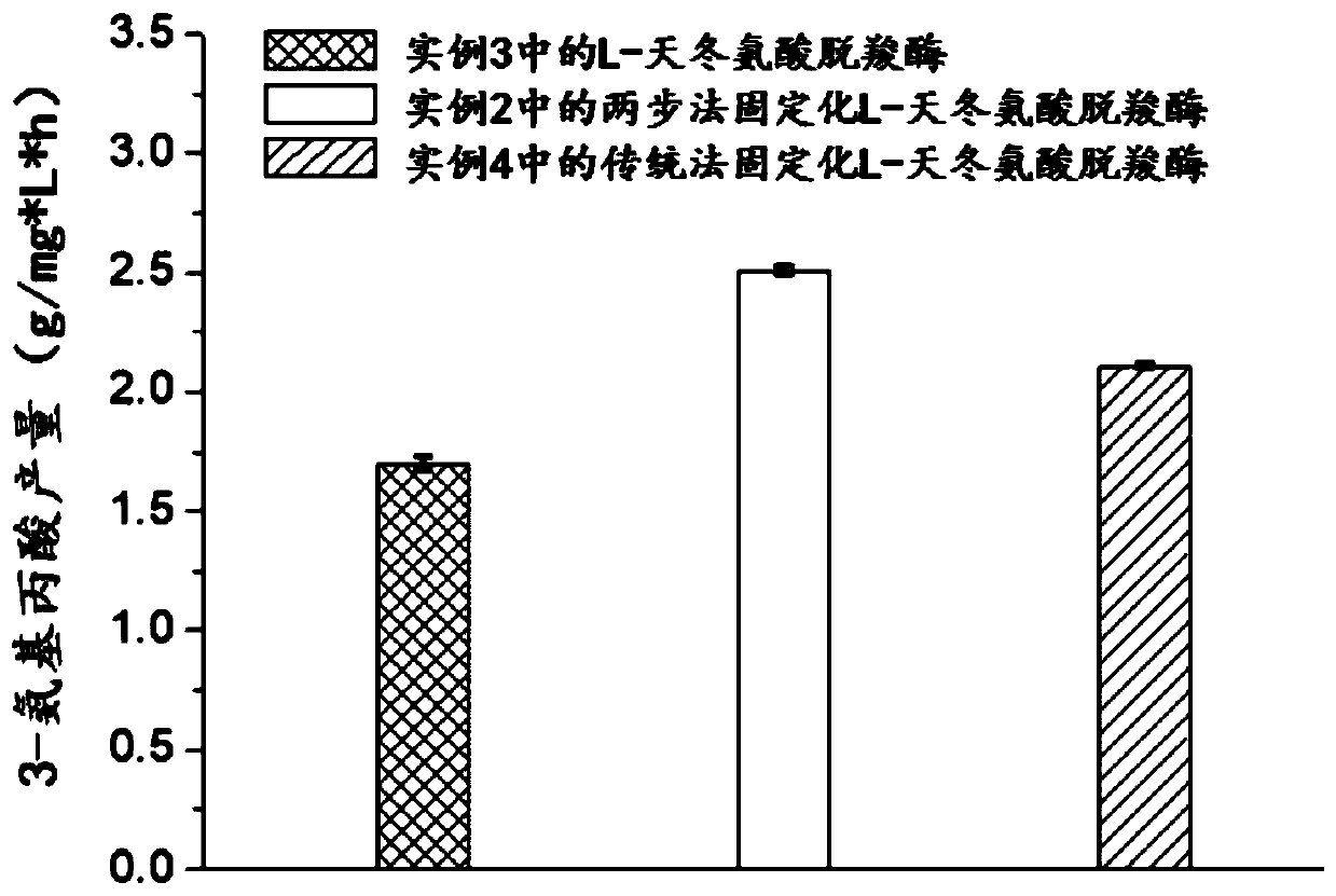 Enzyme catalyst and preparation method and application thereof in production of 3-aminopropionic acid