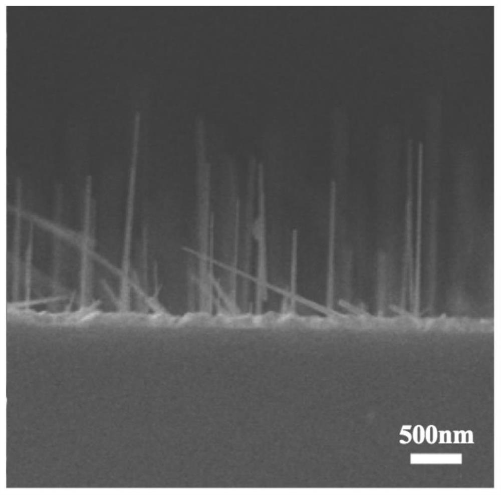Method for growing gaas nanowires on si substrate