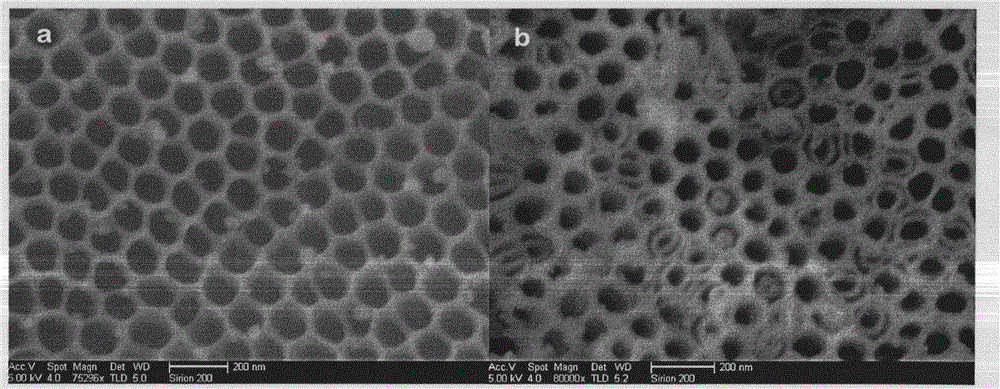 Titanium dioxide polyaniline composite nanometer tube array and preparation method thereof