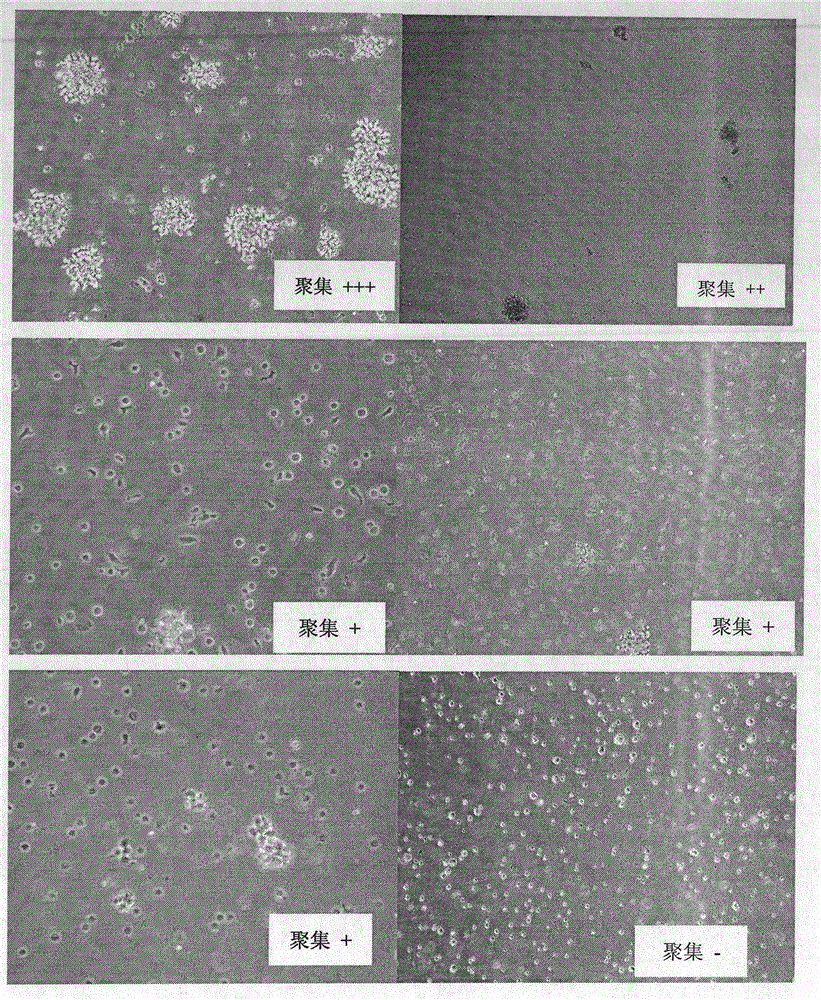 Cell preservation liquid, application thereof, and method for preserving cells