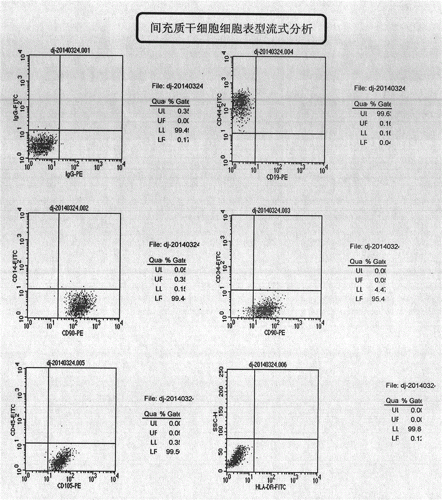 Cell preservation liquid, application thereof, and method for preserving cells