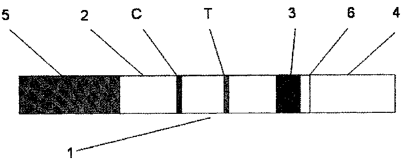 Magnetic immunochromatographic strip for detection of hepatitis B surface antigen and preparation method thereof