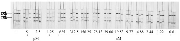 A paper-based detection method for exosomes