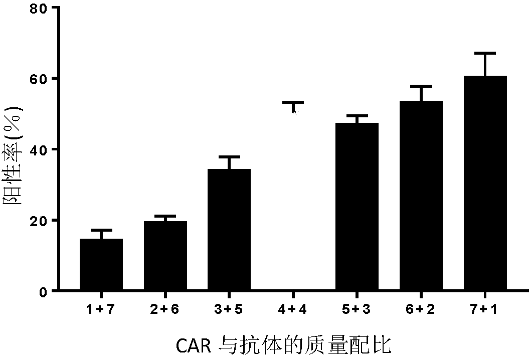 T cell comprising CD40 antibody and muc1-specific chimeric antigen receptor gene and use thereof