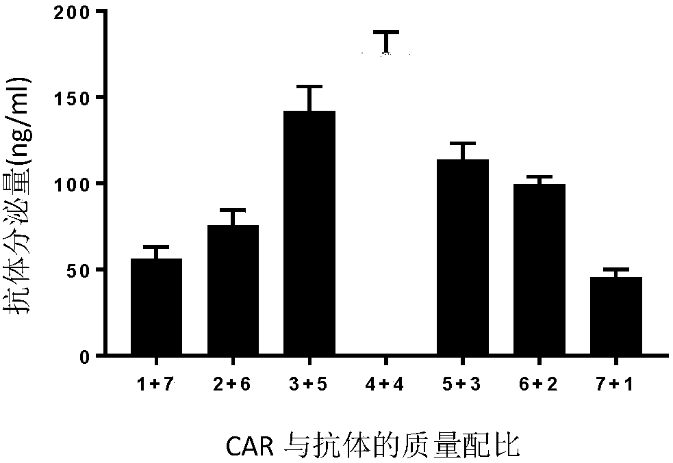 T cell comprising CD40 antibody and muc1-specific chimeric antigen receptor gene and use thereof