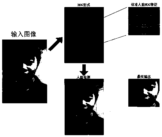 An Expression Recognition Method Based on Lightweight Convolutional Neural Network