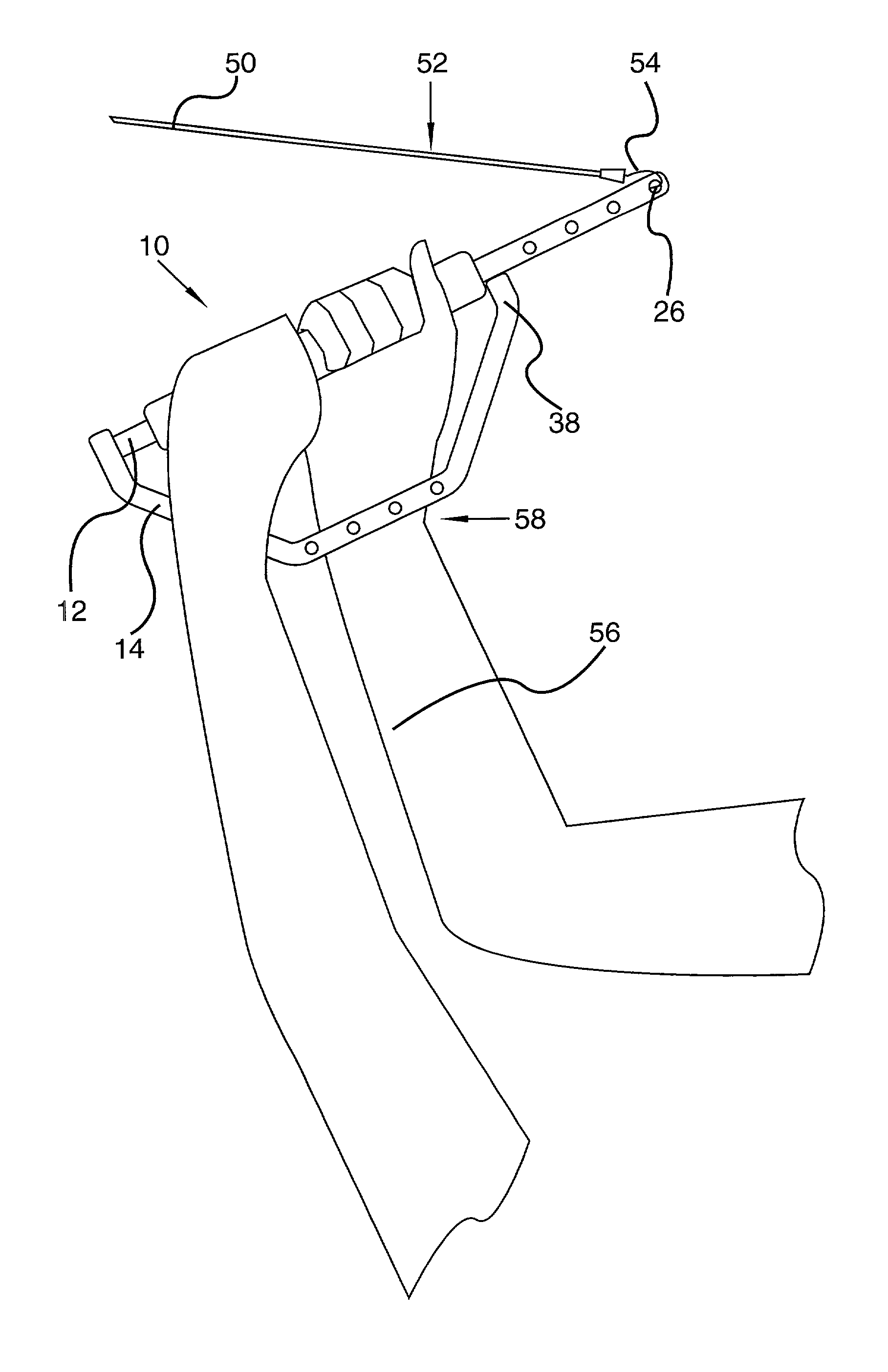Muscle training and development device