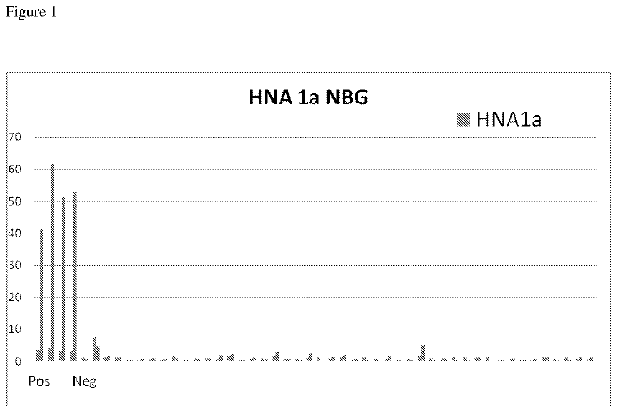 Modified Fc gamma receptor type III (FCγIII, HNA-1) polypeptides and the uses thereof
