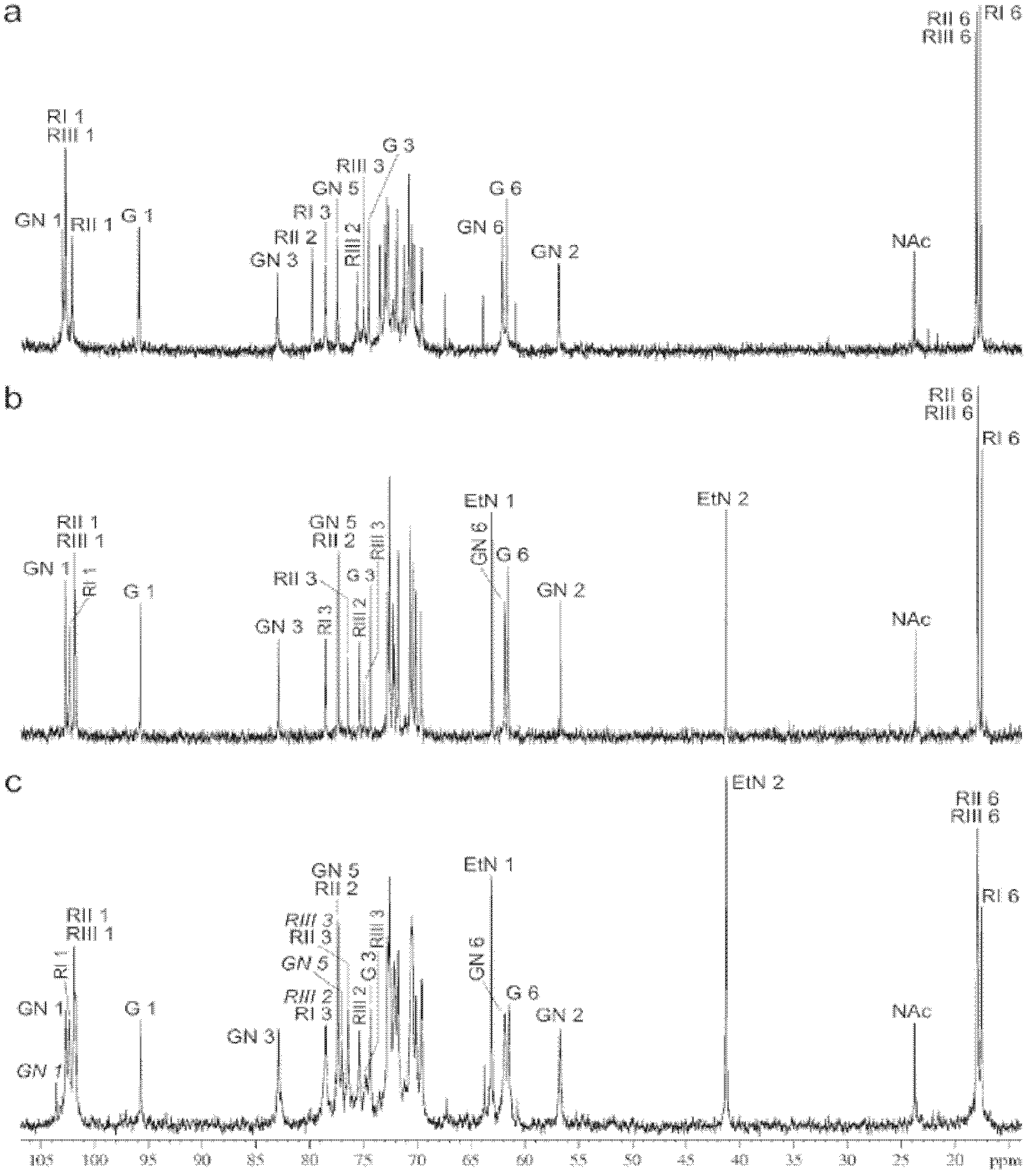 Detection reagent for Shigella flexneri plasmid-carried gene Ipt-O and application thereof