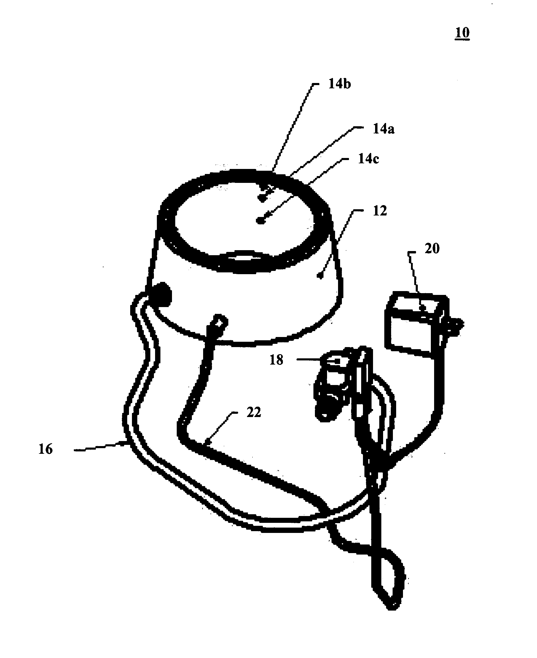 Automatic smart watering apparatus
