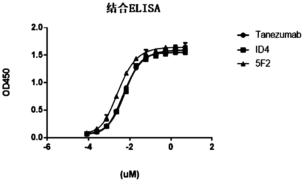 Monoclonal antibody targeting nerve growth factor and application thereof