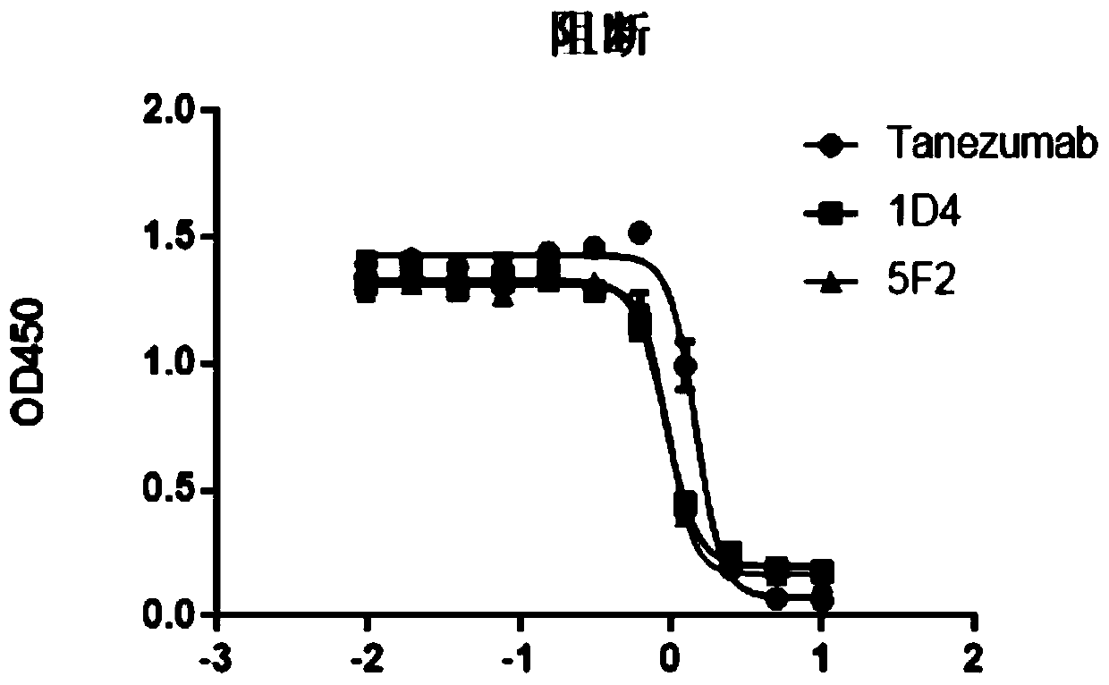 Monoclonal antibody targeting nerve growth factor and application thereof