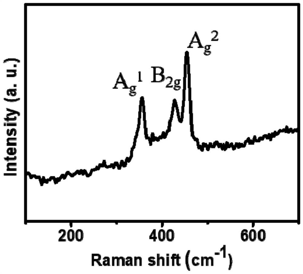 Synthetic method of porous black phosphorus nanosheet for negative electrode material of ion battery