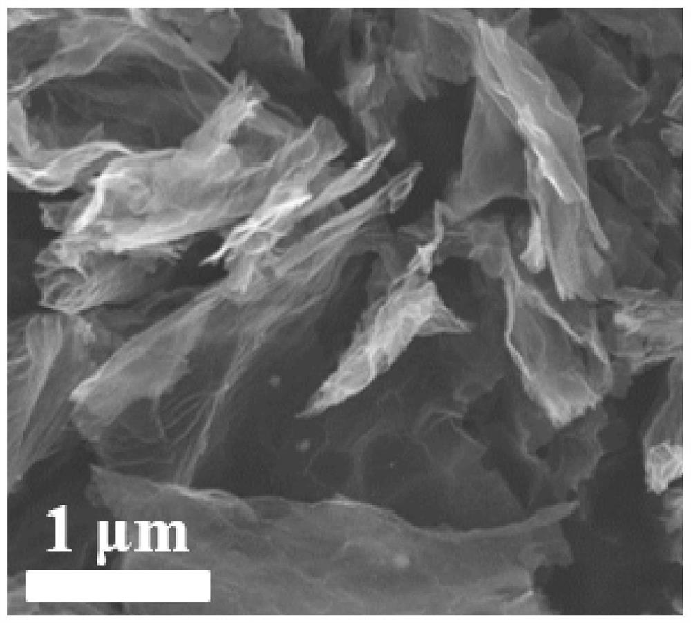 Synthetic method of porous black phosphorus nanosheet for negative electrode material of ion battery