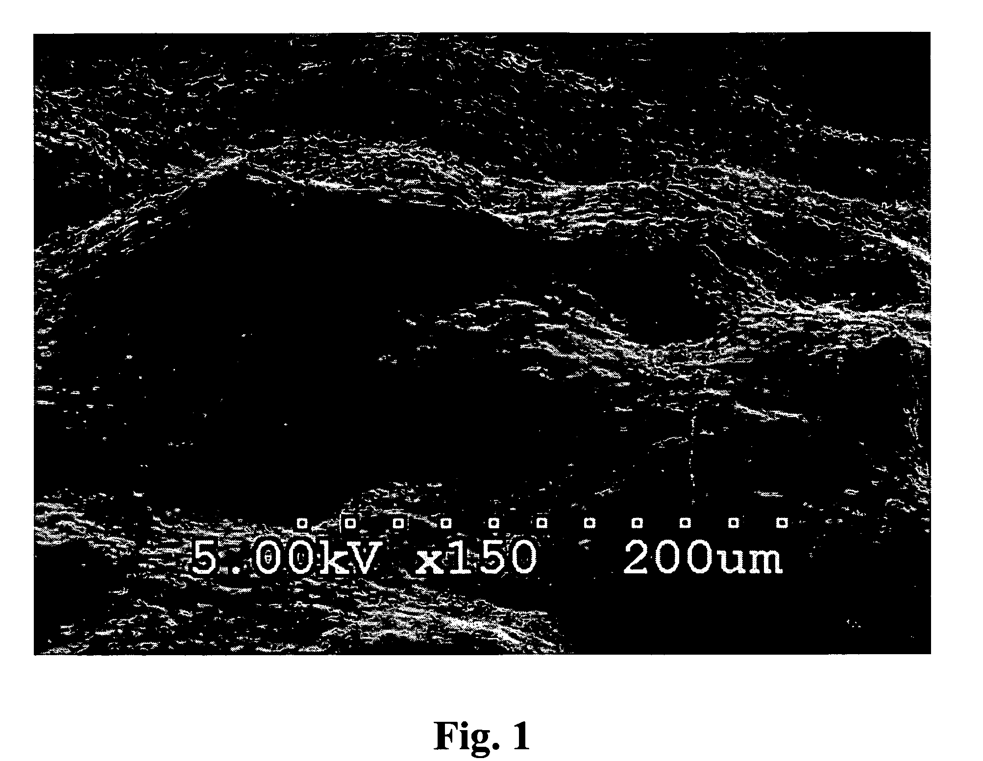 Protein biomaterials and biocoacervates and methods of making and using thereof