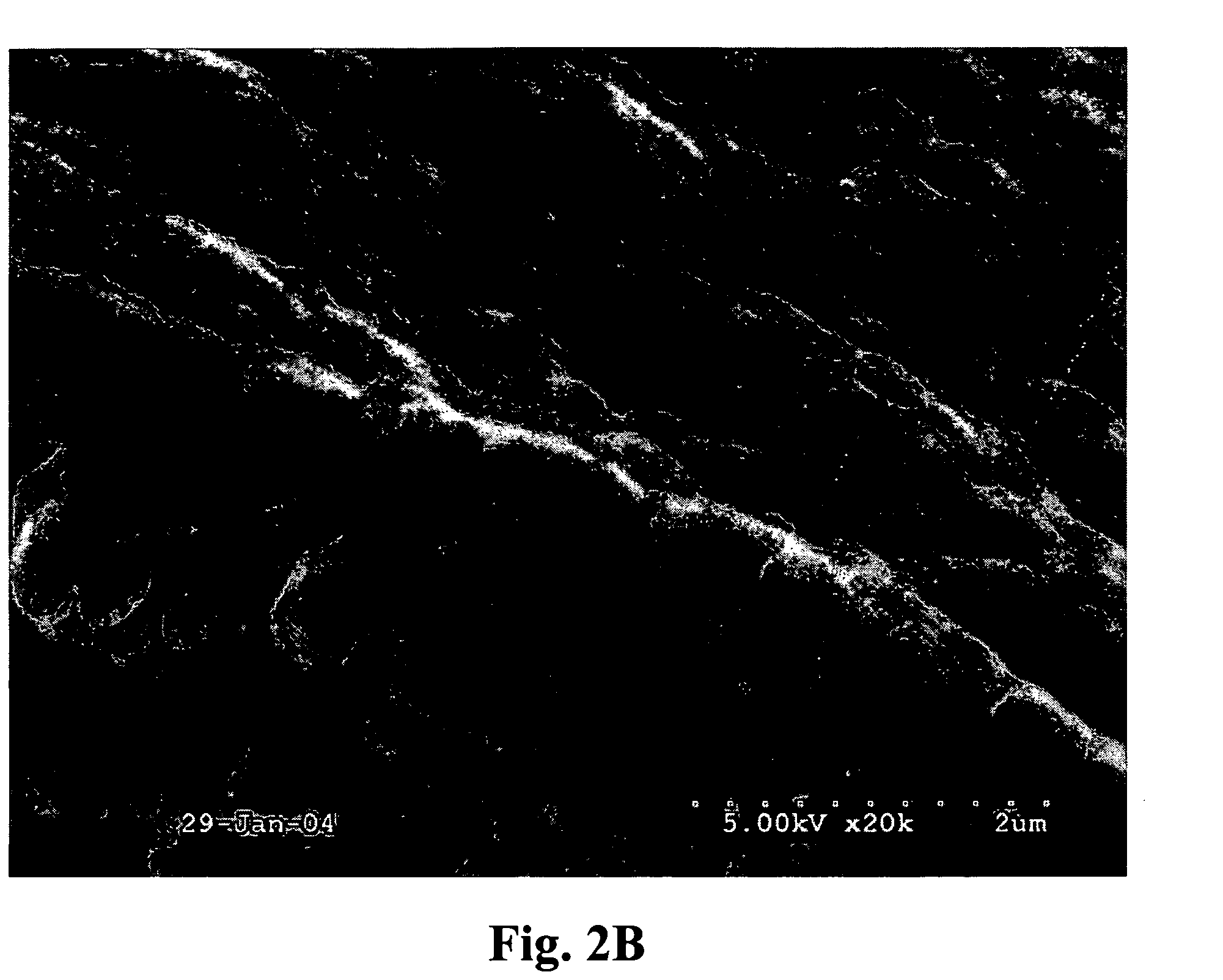 Protein biomaterials and biocoacervates and methods of making and using thereof