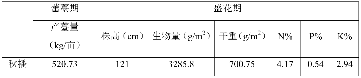 Planting method of Brassica napus Youfei No.1