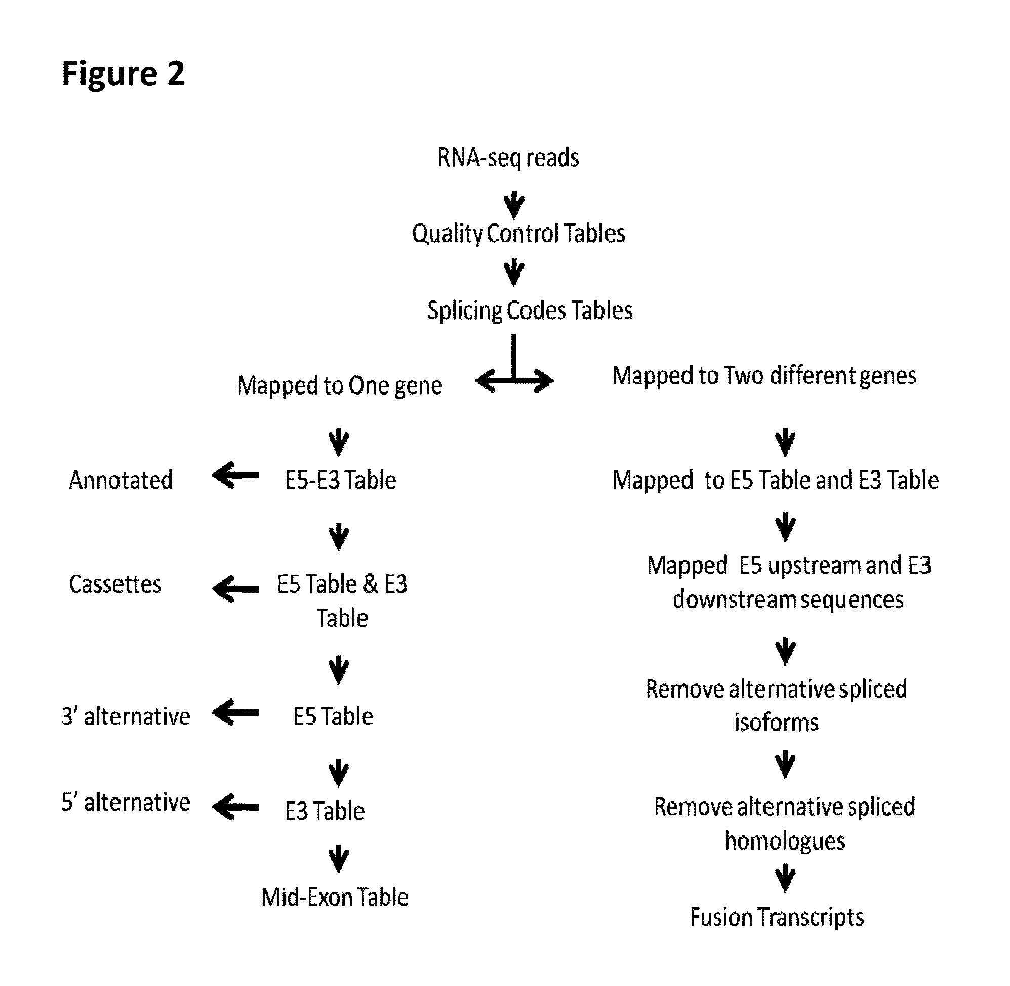 Fusion transcript detection methods and fusion transcripts identified thereby