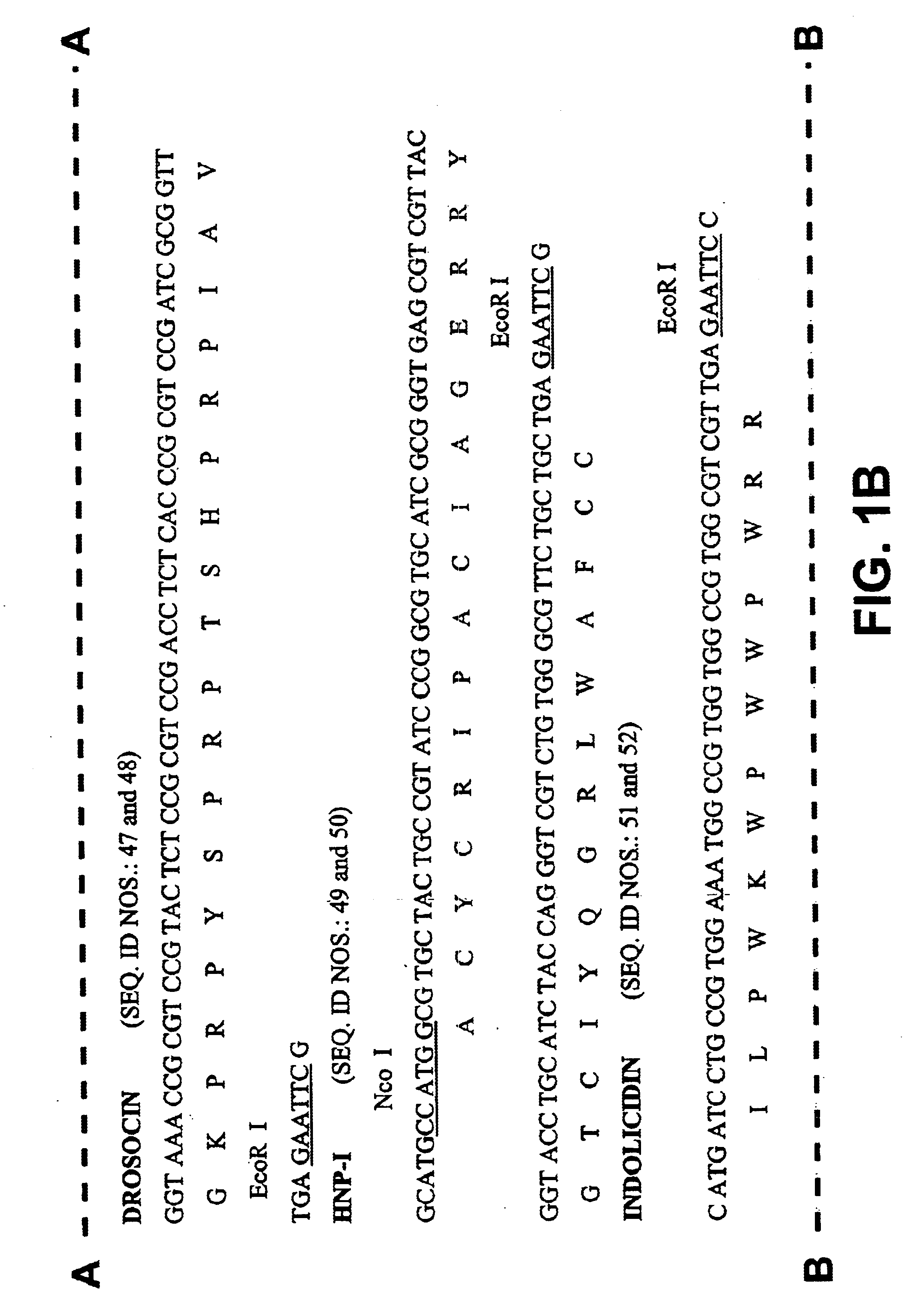 Mass production method of antimicrobial peptide and DNA construct and expression system thereof