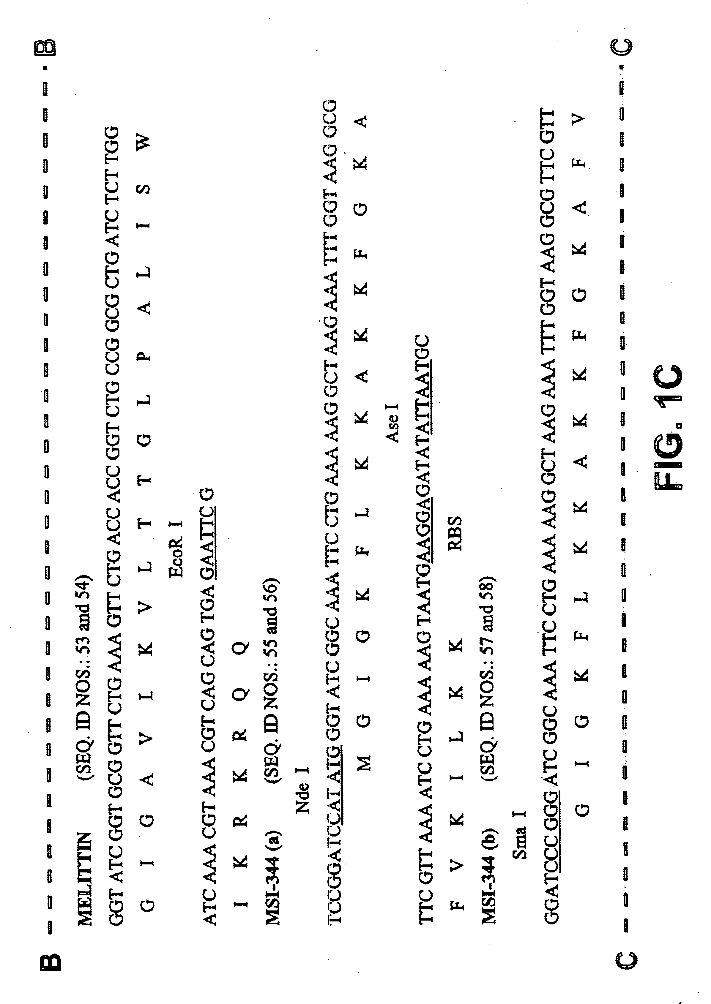 Mass production method of antimicrobial peptide and DNA construct and expression system thereof
