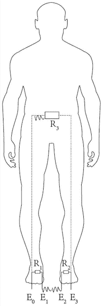 Conductive fabric and body composition scale including the same