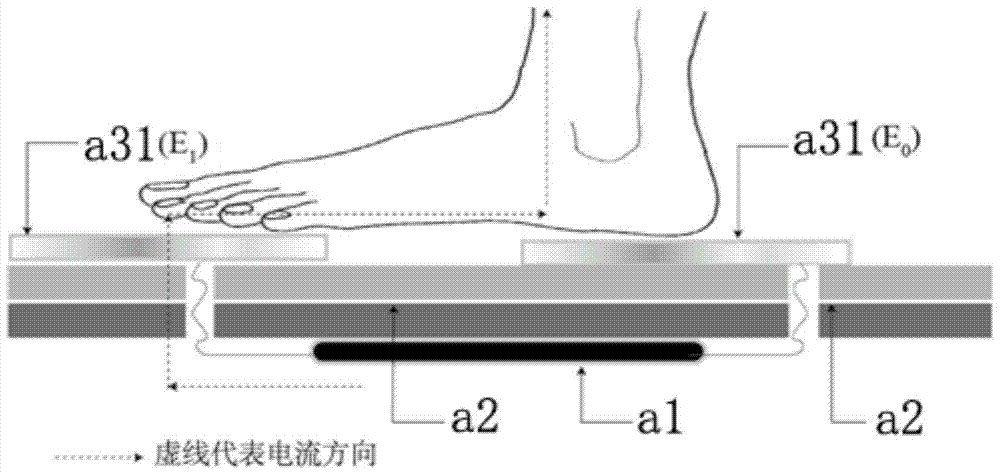 Conductive fabric and body composition scale including the same