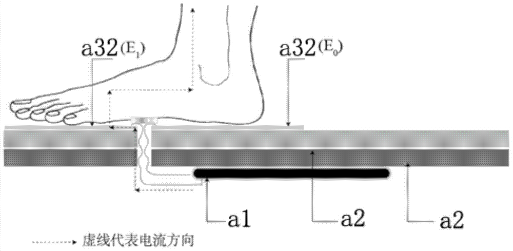 Conductive fabric and body composition scale including the same