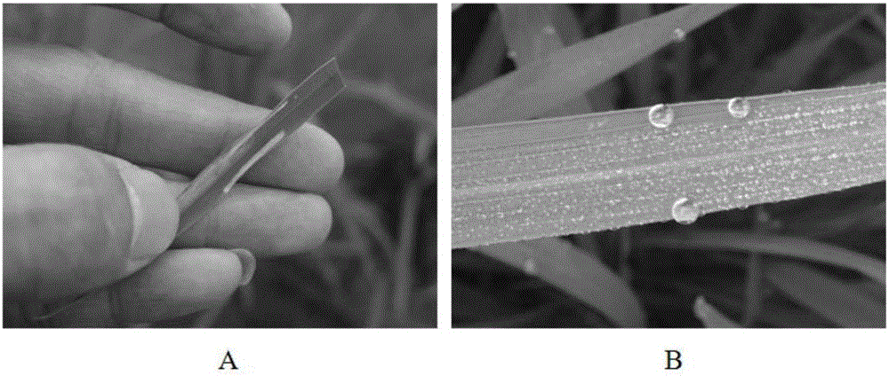 Powder-like composition and preparation method and application thereof