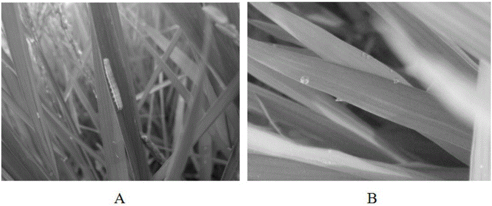 Powder-like composition and preparation method and application thereof