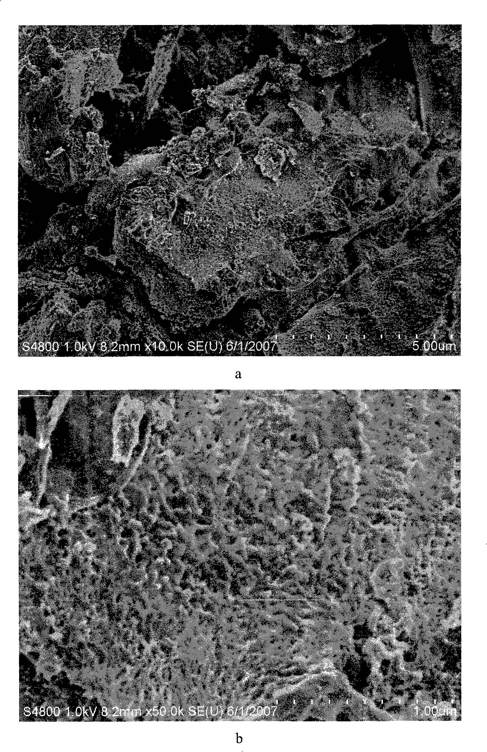 Method for extracting black carbon absorption material using plant ash as raw material