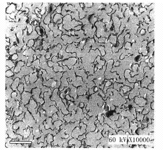 Preparation method for fuel cell compound proton exchange membrane enhanced by using SiO2 three-dimensional ultra-thin membrane