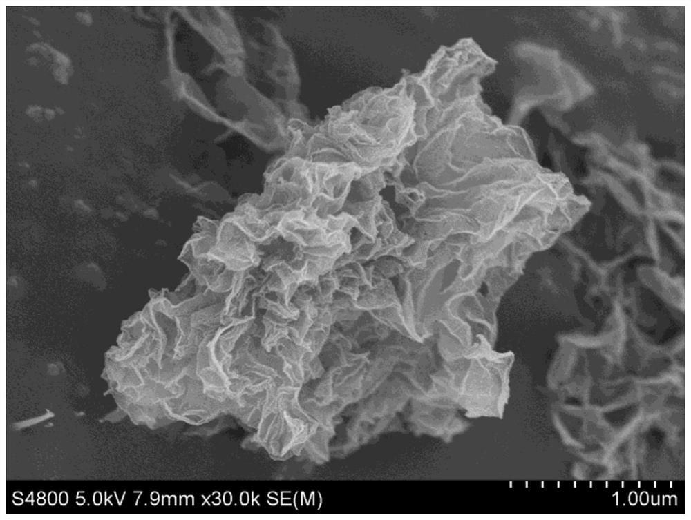 Single-layer wrinkled graphene and its preparation method and use